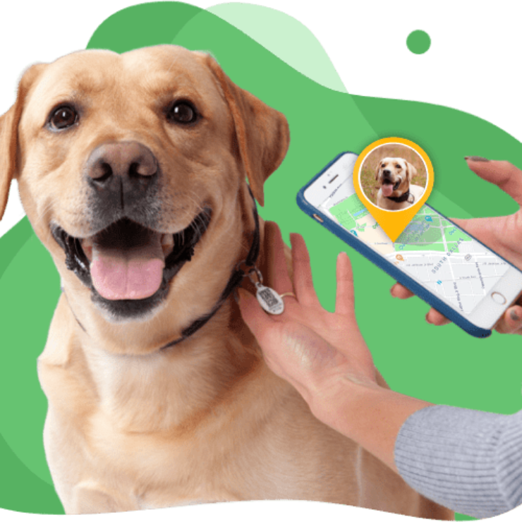 QR Code for Pets Identification and Beyond